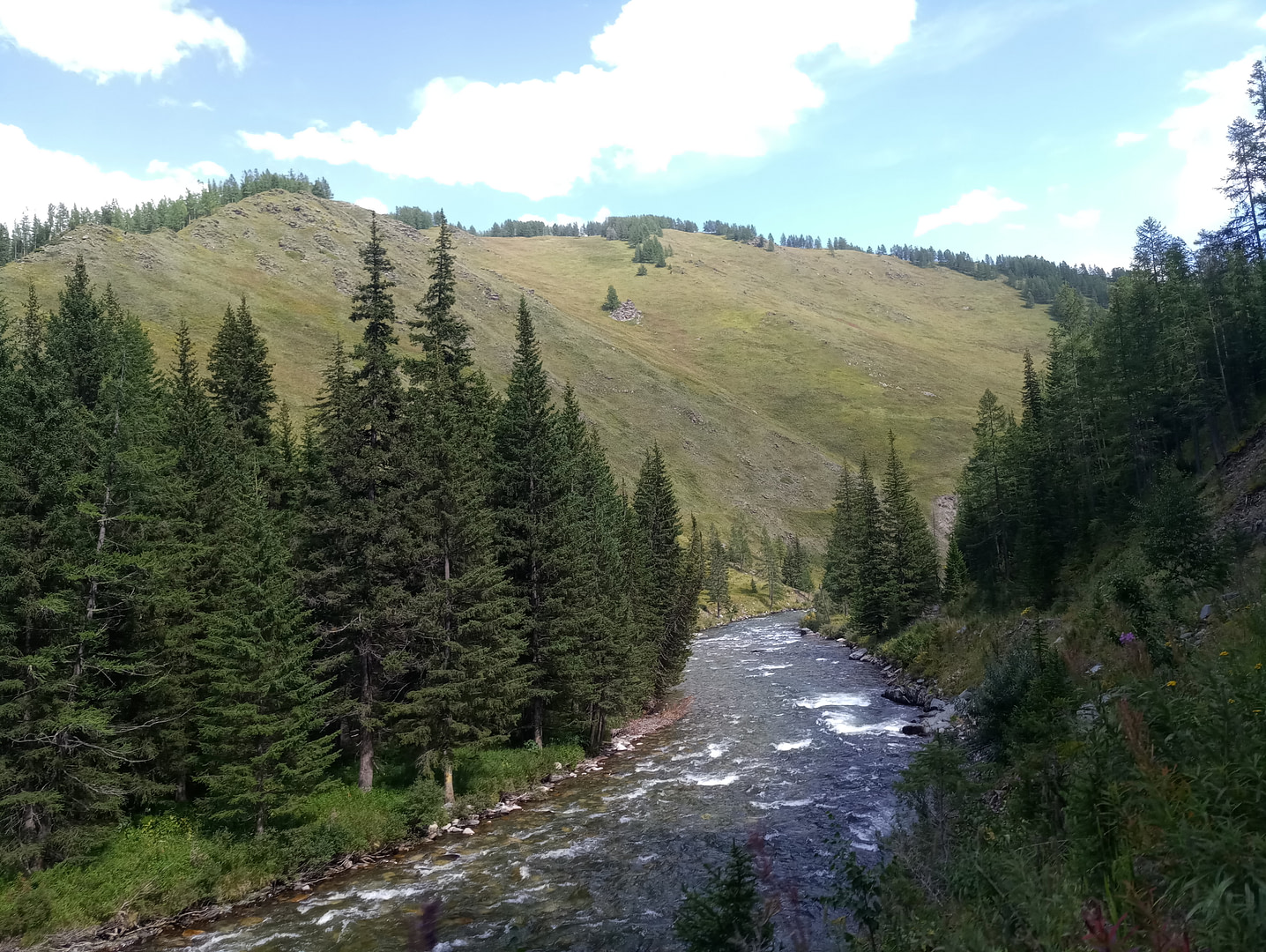 P00812-143109