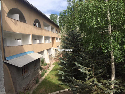 Илбирс Иссык-Куль